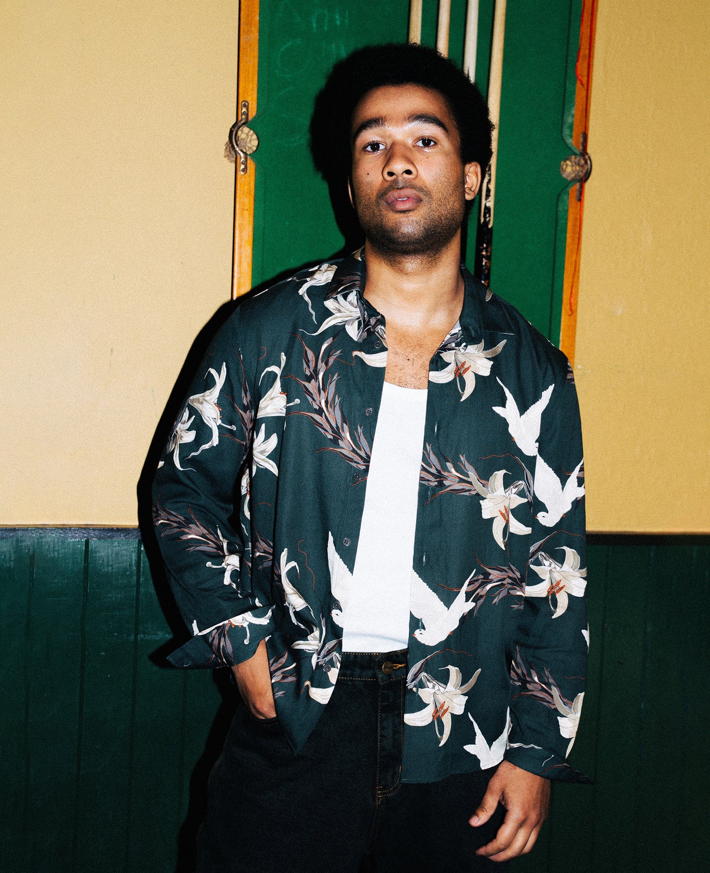 Dove Long Sleeve Printed Shirt