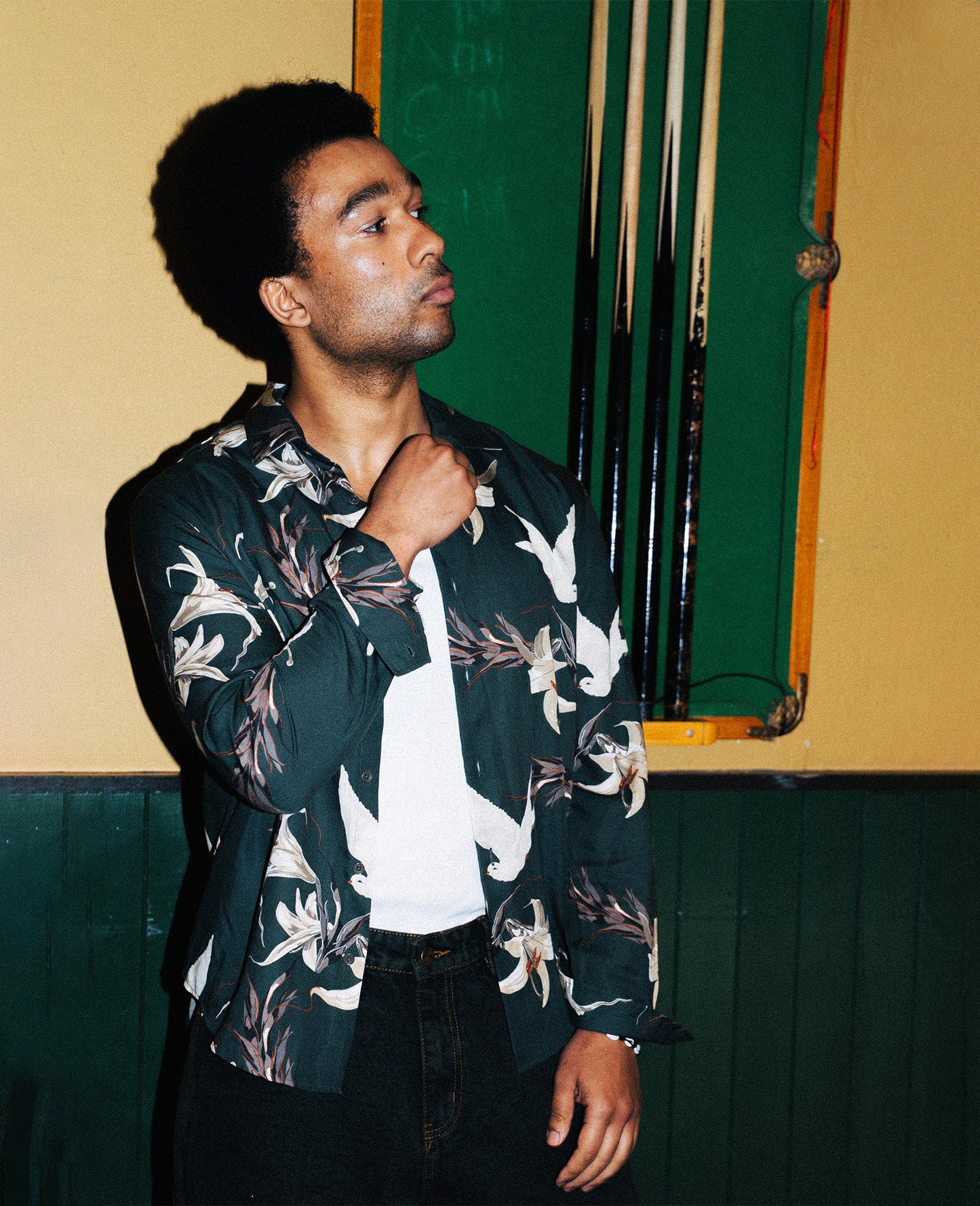 Dove Long Sleeve Printed Shirt